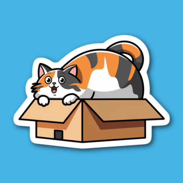 Calico Cat In A Box